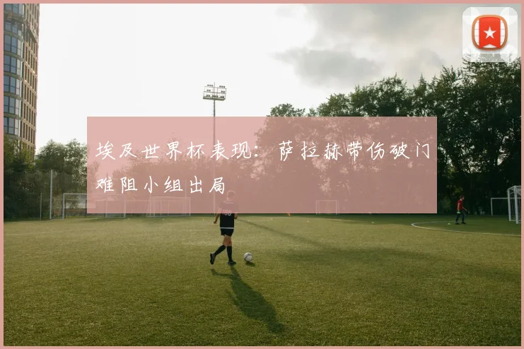 埃及世界杯表现：萨拉赫带伤破门难阻小组出局